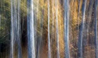 上海星光摄影器材城