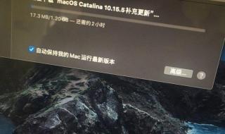 兼容iOS 15.0 15.1.1系统 ipad15.1.1完美越狱