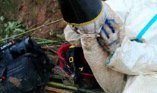 东航坠机事故调查进展