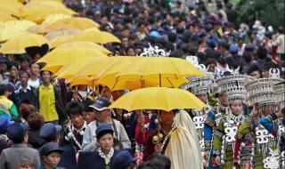 拒绝接待凉山人的原因