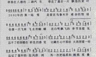 2002年的第一场雪简谱