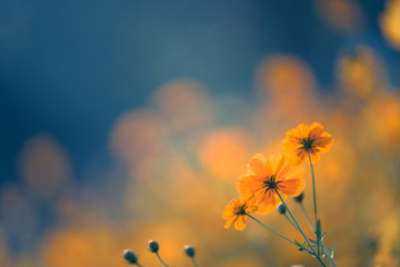 万万没想到番外篇5是啥剧情精彩程度如何 万万没想到番外篇