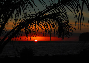 万万没想到番外篇5是啥剧情精彩程度如何 万万没想到番外篇