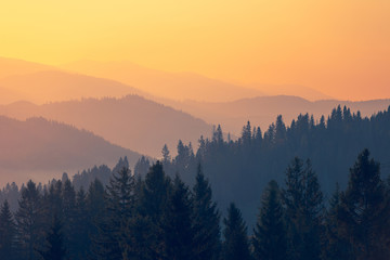 万万没想到番外篇5是啥剧情精彩程度如何 万万没想到番外篇