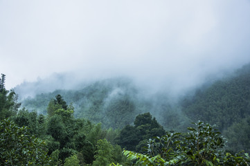 《幸福还有多远》大结局 幸福还有多远大结局